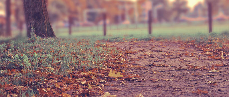 在线电话轰炸云呼死你